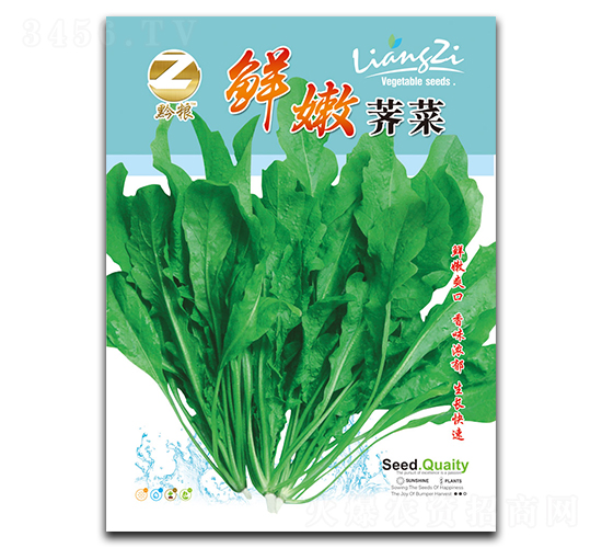 香嫩薺菜種子-良籽農業