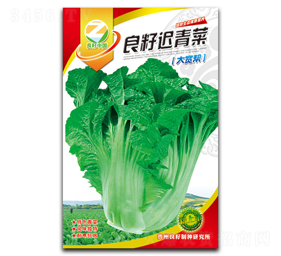 良籽遲青菜種子-良籽農業