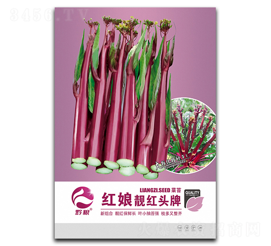 紅娘靚紅頭牌-菜苔種子-良籽農業