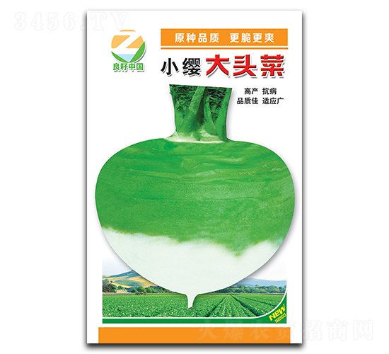 小纓大頭菜種子-良籽農業