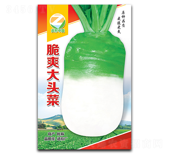脆爽大頭菜種子-良籽農業