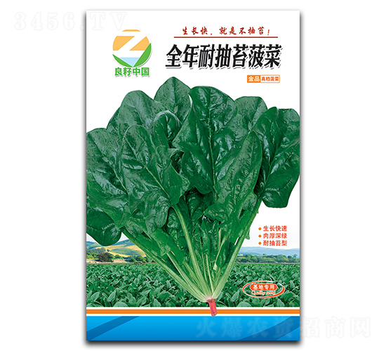 全年耐抽苔菠菜種子-良籽農業