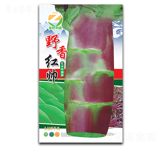 野香紅帥-萵筍種子-良籽農業