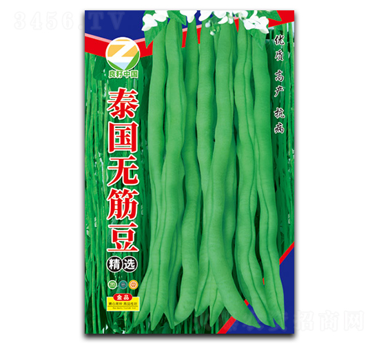 泰國無筋豆種子-良籽農業