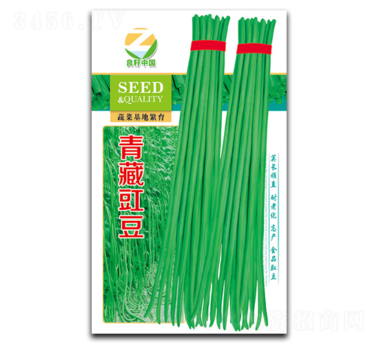 青藏豇豆種子-良籽農業