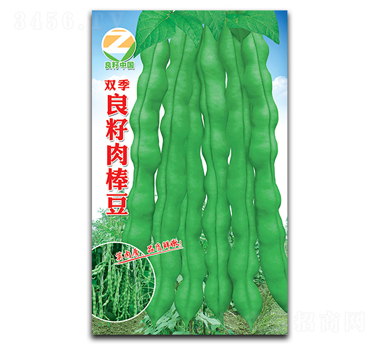 雙季良籽肉豆-豇豆種子-良籽農業