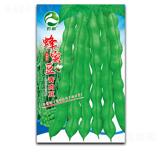 蜂蜜豆青肉豆-豇豆種子-良籽農業