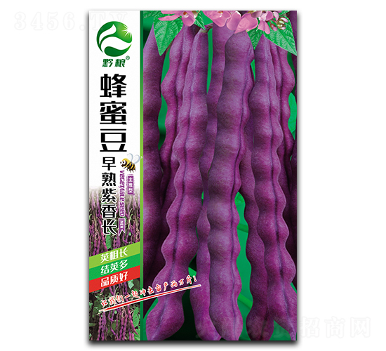 蜂蜜豆早熟紫香長-豇豆種子-良籽農業