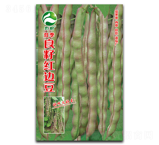雙季良籽紅邊豆-豇豆種子-良籽農業