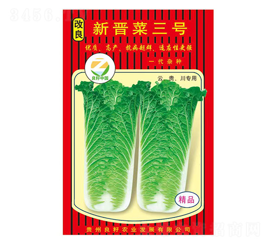 白菜種子-改良新晉菜三號-良籽農業