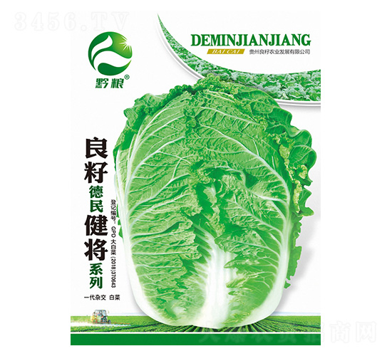 白菜種子-良籽德民健將系列-良籽農業