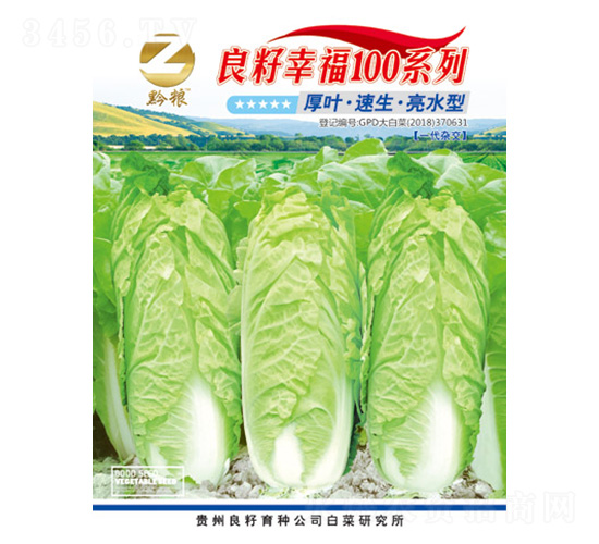 白菜種子-良籽幸福100系列-良籽農業