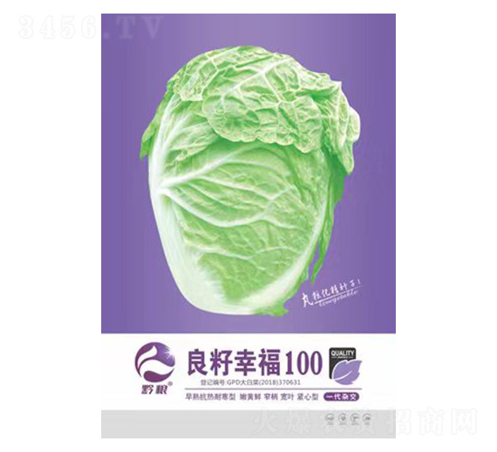 白菜種子-良籽幸福100-良籽農業