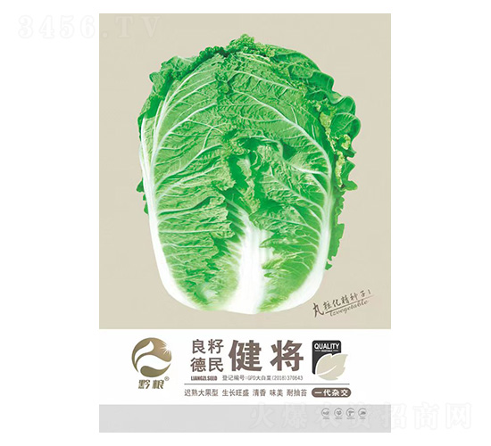 白菜種子-健將-良籽農業