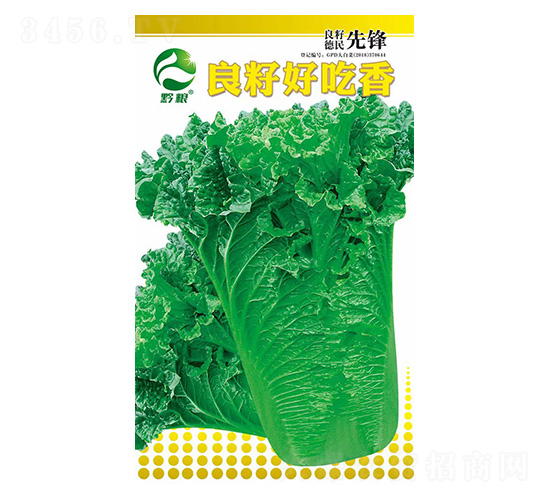 白菜種子-良籽好吃香-良籽農業