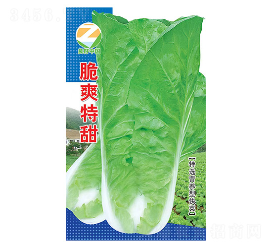 白菜種子-脆爽特甜-良籽農業
