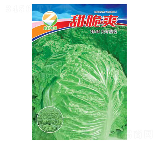 白菜種子-甜脆爽-良籽農業
