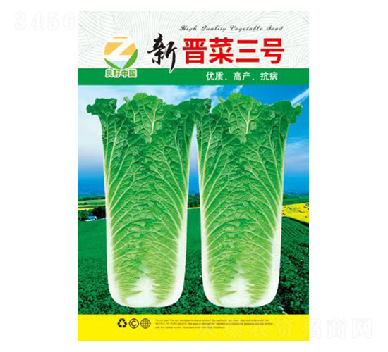 白菜種子-新晉菜三號-良籽農業