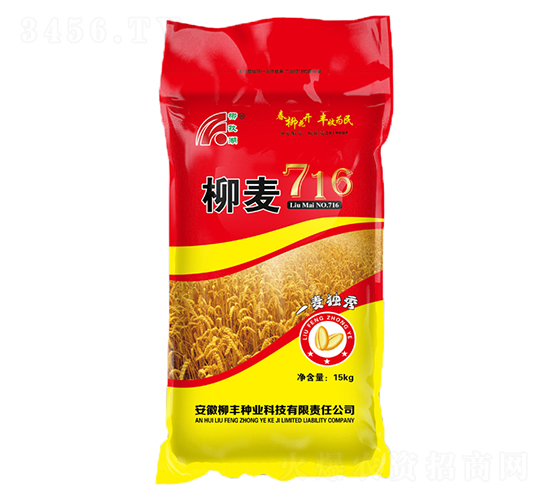 柳麥716-小麥種子-柳豐種業