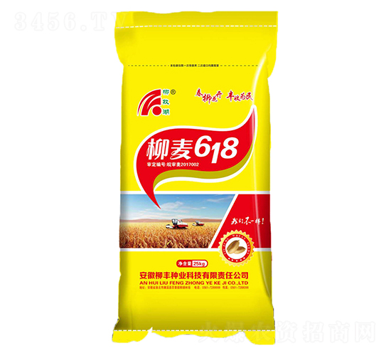 柳麥618-小麥種子-柳豐種業
