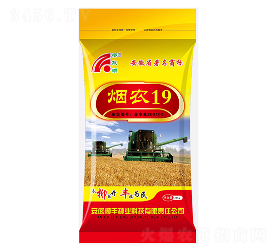 煙農19小麥種子-柳豐種業