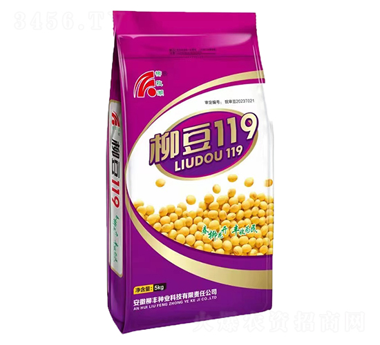 柳豆119-大豆種子-柳豐種業