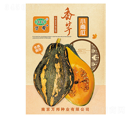 香芋小南瓜-萬邦種業