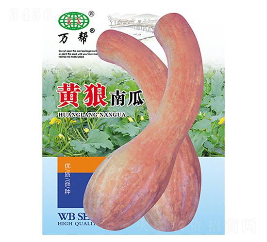 黃狼南瓜-萬邦種業