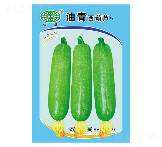 油青西葫蘆-萬邦種業