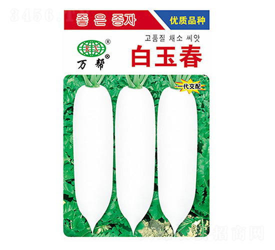 白玉春蘿卜種子-萬邦種業