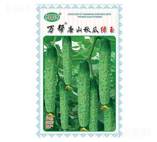 萬幫唐山秋瓜綠玉黃瓜種子-萬邦種業