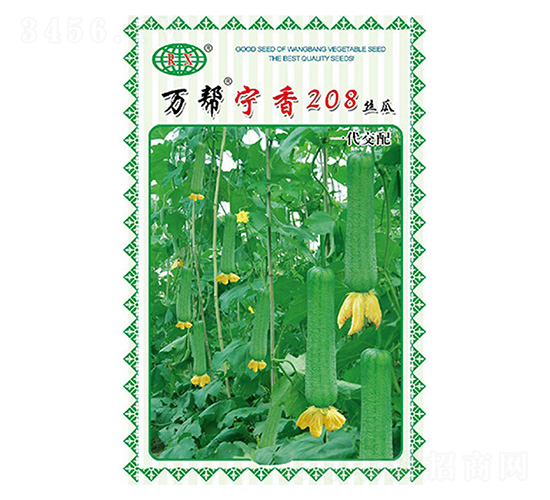 萬幫寧香208絲瓜種子-萬邦種業