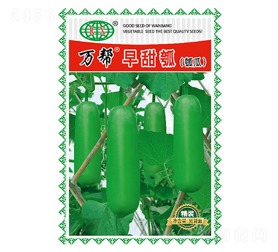 萬幫早甜瓠瓜種子-萬邦種業