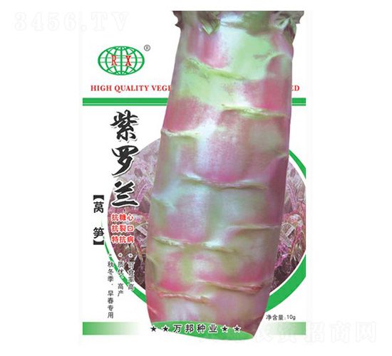 紫羅蘭萵筍-萵筍種子-萬邦種業