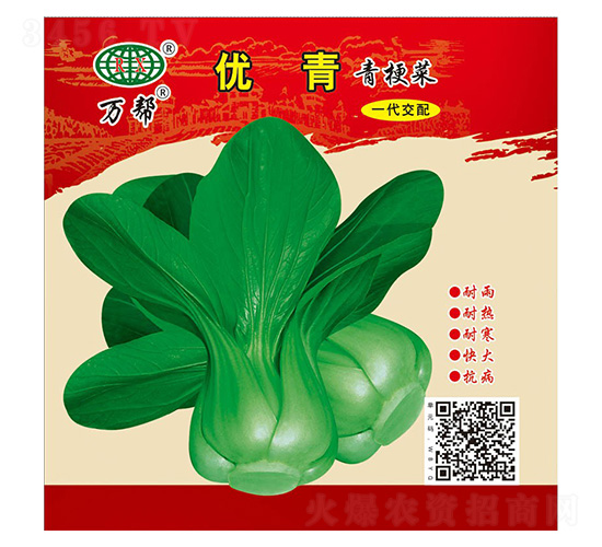 優青青梗菜種子-萬邦種業