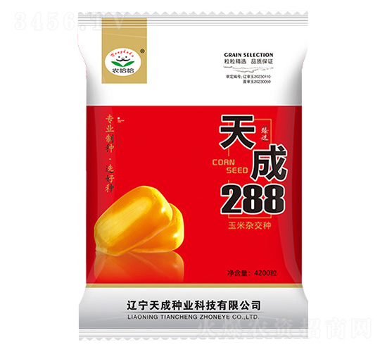 玉米種子-天成288-農哈哈-天成種業