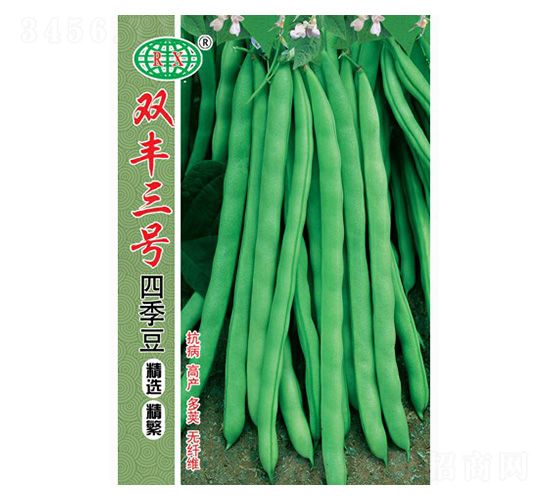 雙豐三號四季豆種子-萬邦種業