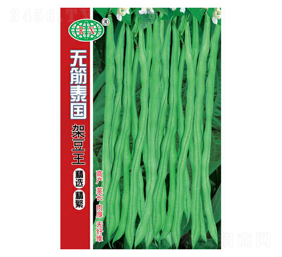 無筋泰國架豆種子-萬邦種業
