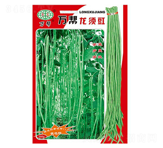 萬邦龍須豇豆種子-萬邦種業