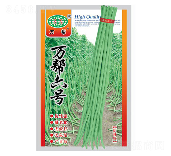 萬幫六號豇豆種子-萬邦種業