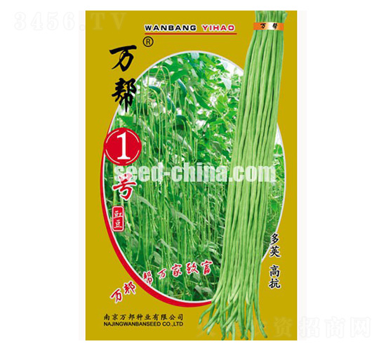 萬幫一號豇豆種子-萬邦種業