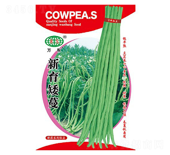 新育矮蔓豇豆種子-萬邦種業