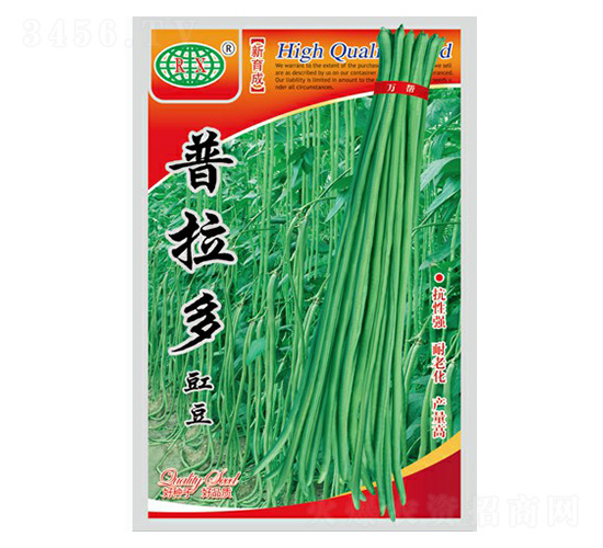 普拉多豇豆種子-萬邦種業