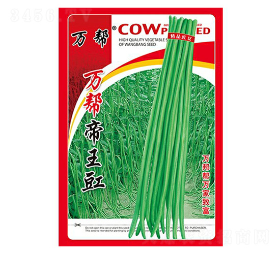 萬幫帝王豇-豇豆種子-萬邦種業