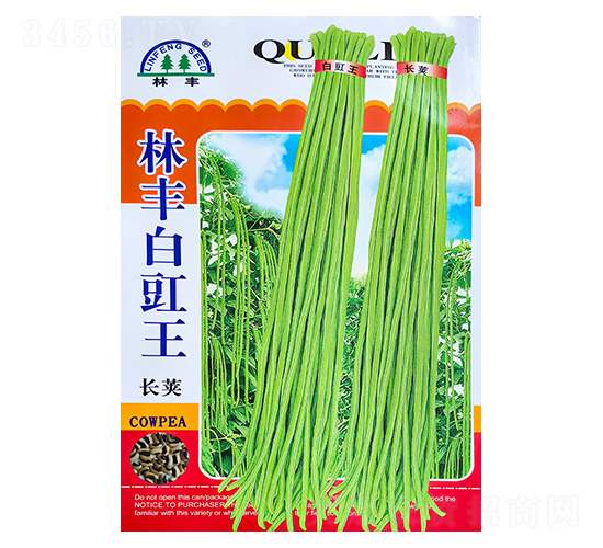 白豇王長莢-豇豆種子-陵豐種苗