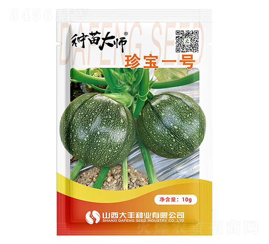 珍寶一號-南瓜種子-大豐種業(yè)