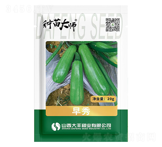 早秀-西葫蘆種子-大豐種業