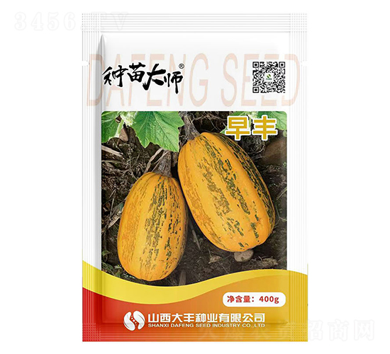 早豐-西葫蘆種子-大豐種業