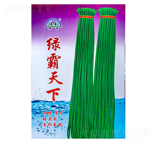 è±‡è±†ç¨®å­--é™µè±ç¨®è‹—