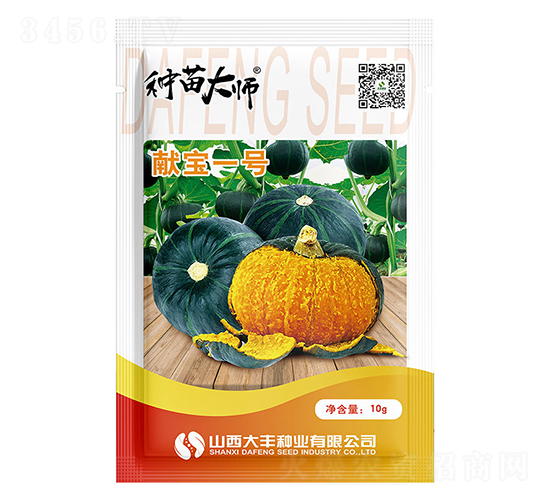 獻寶一號-南瓜種子-大豐種業